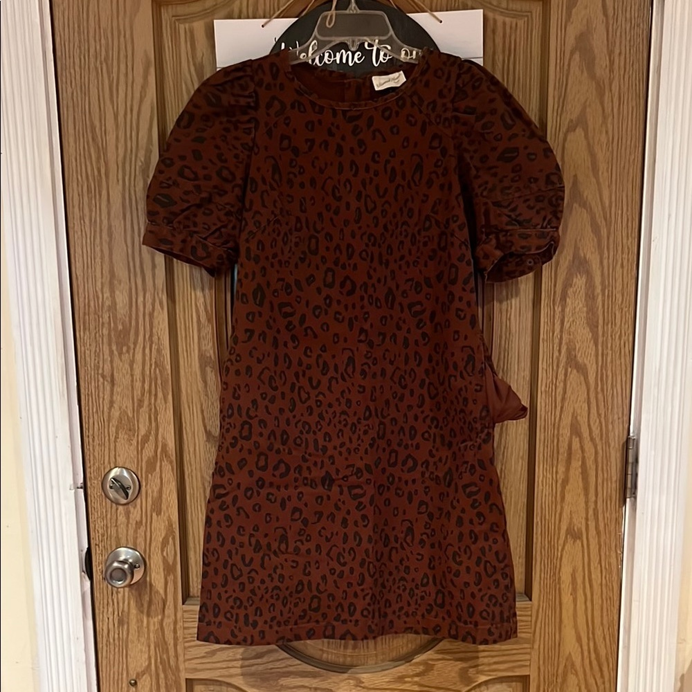 Universal Thread Brown Leopard Print Mini Dress